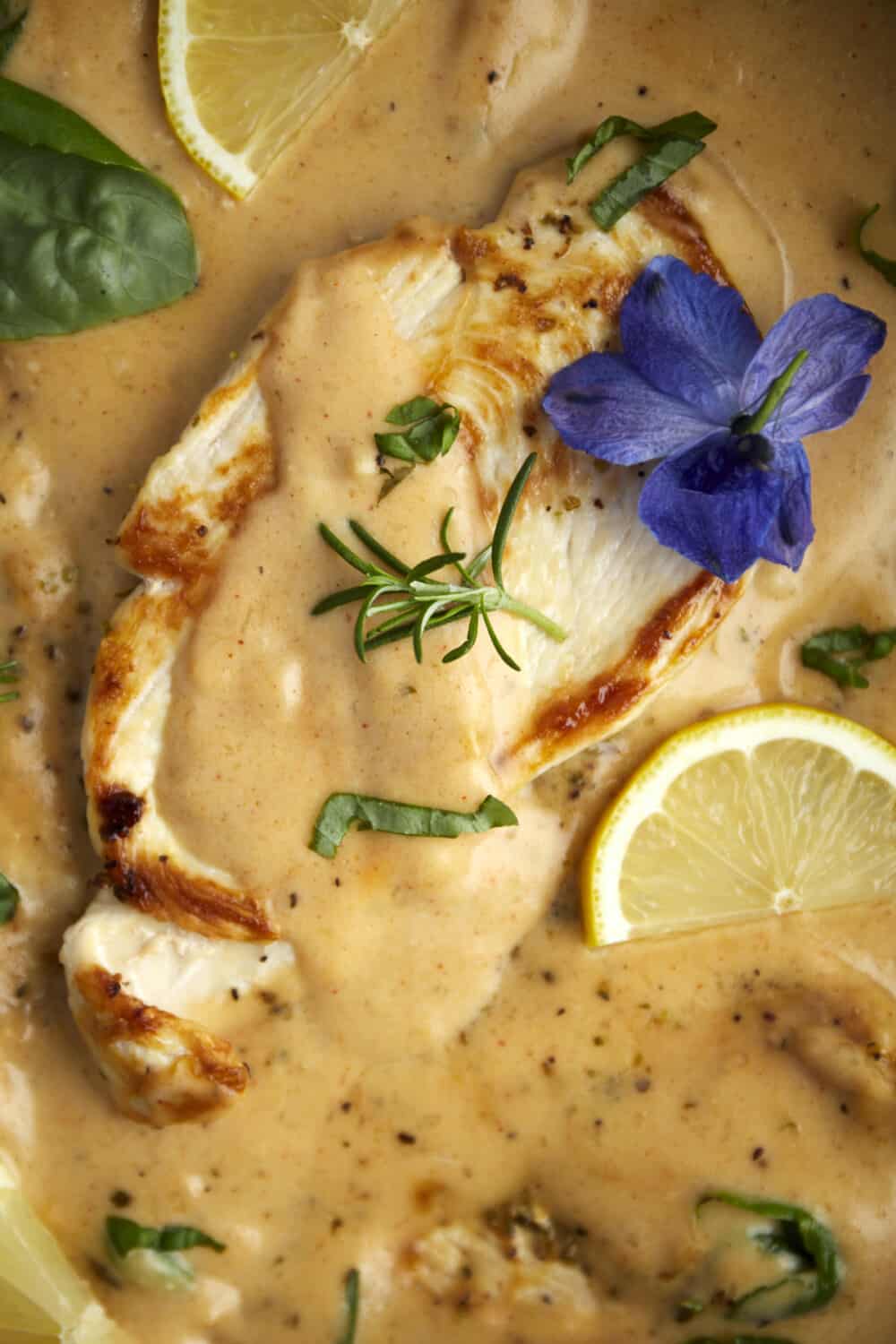 creamy parmesan chicken topped with fresh herbs and lemon