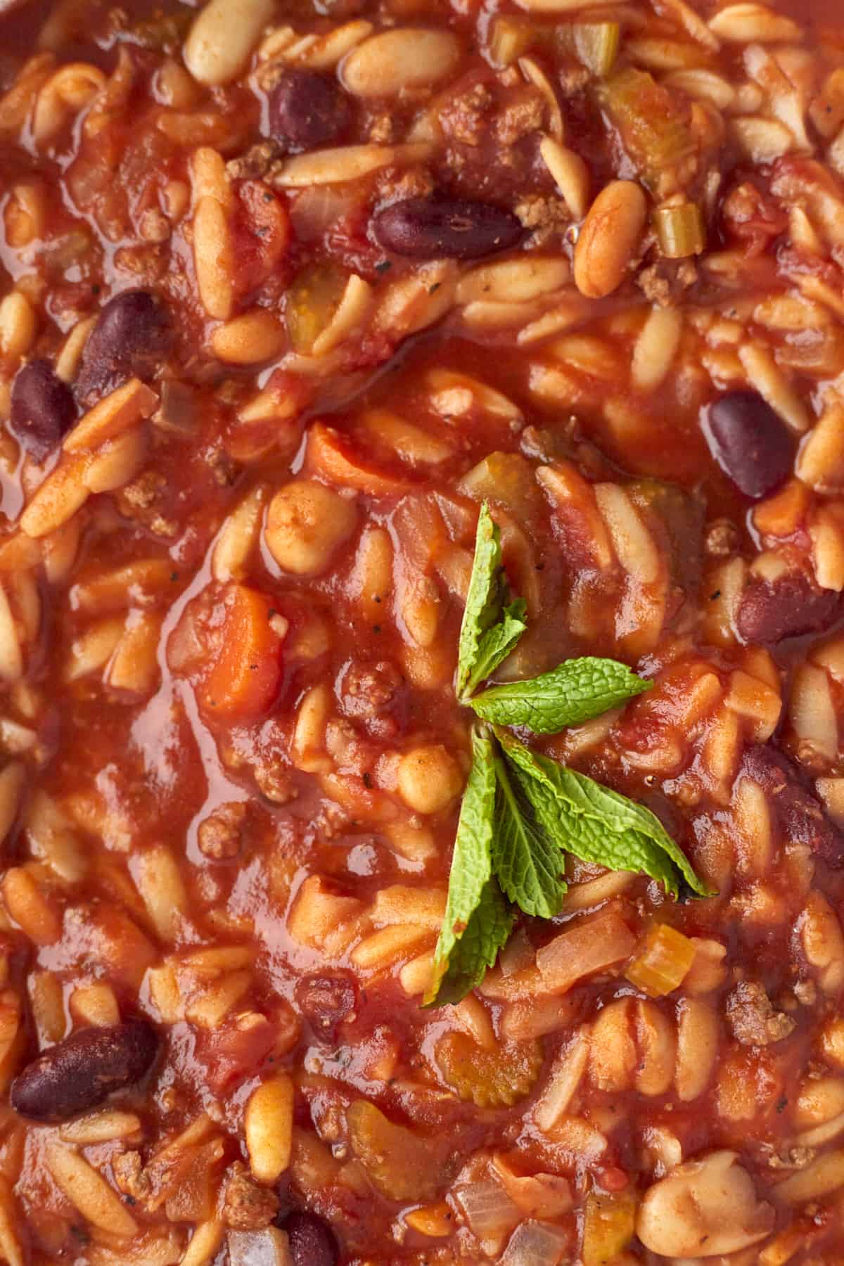 close up image of pasta e fagioli soup