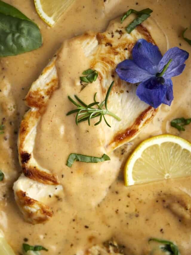 Creamy chicken dish