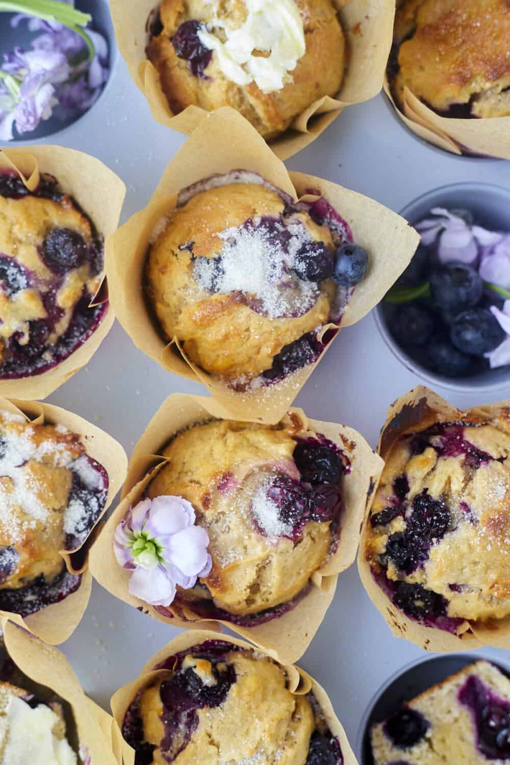 blueberry muffins in a muffin tin topped with sugar