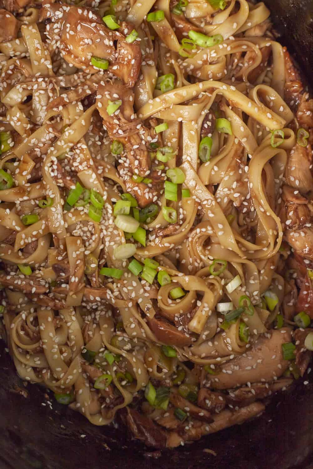 honey garlic chicken with lo mein noodles topped with green onions and sesame seeds