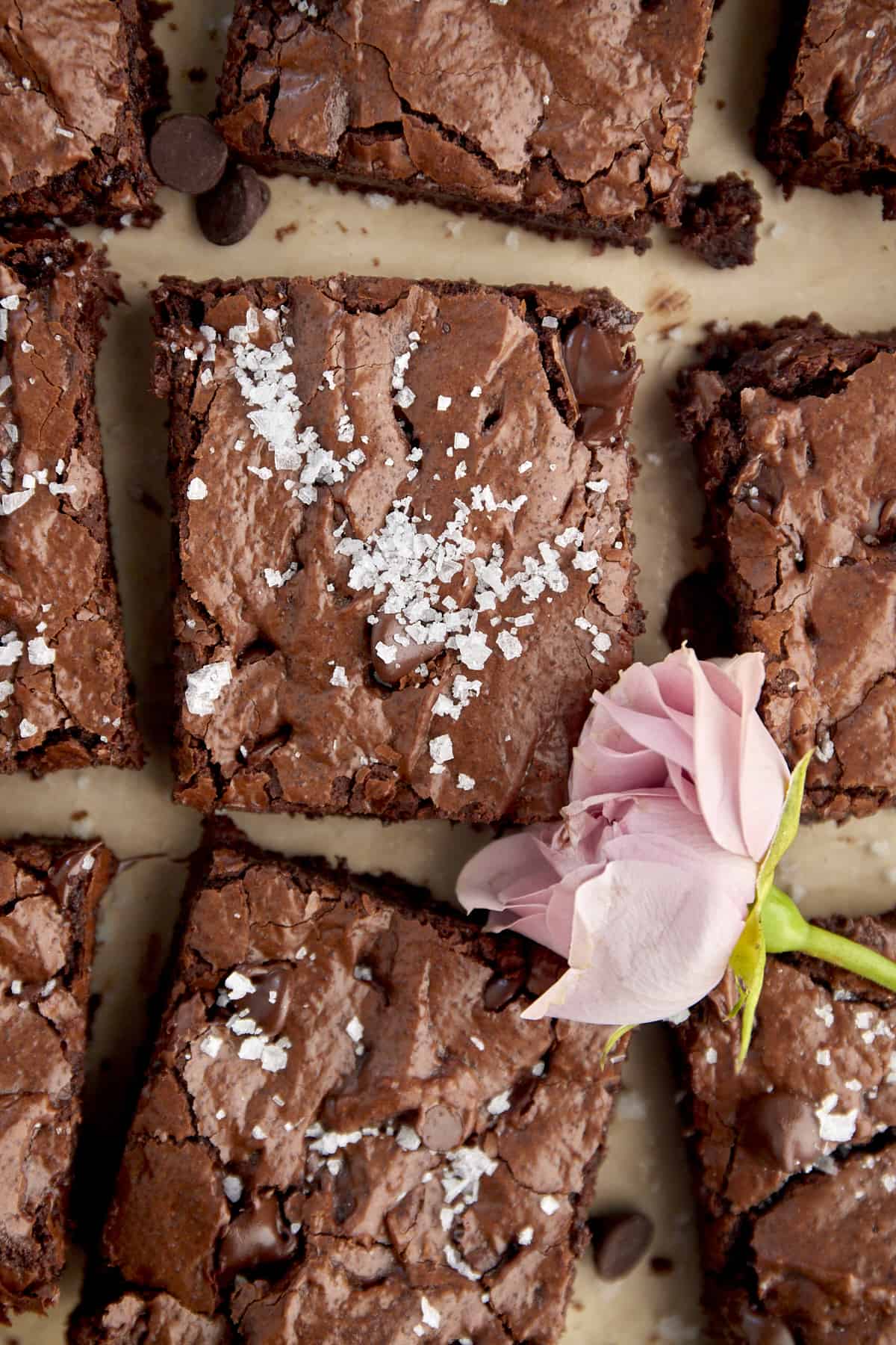 overhead image of sliced one bowl brownies topped with salt