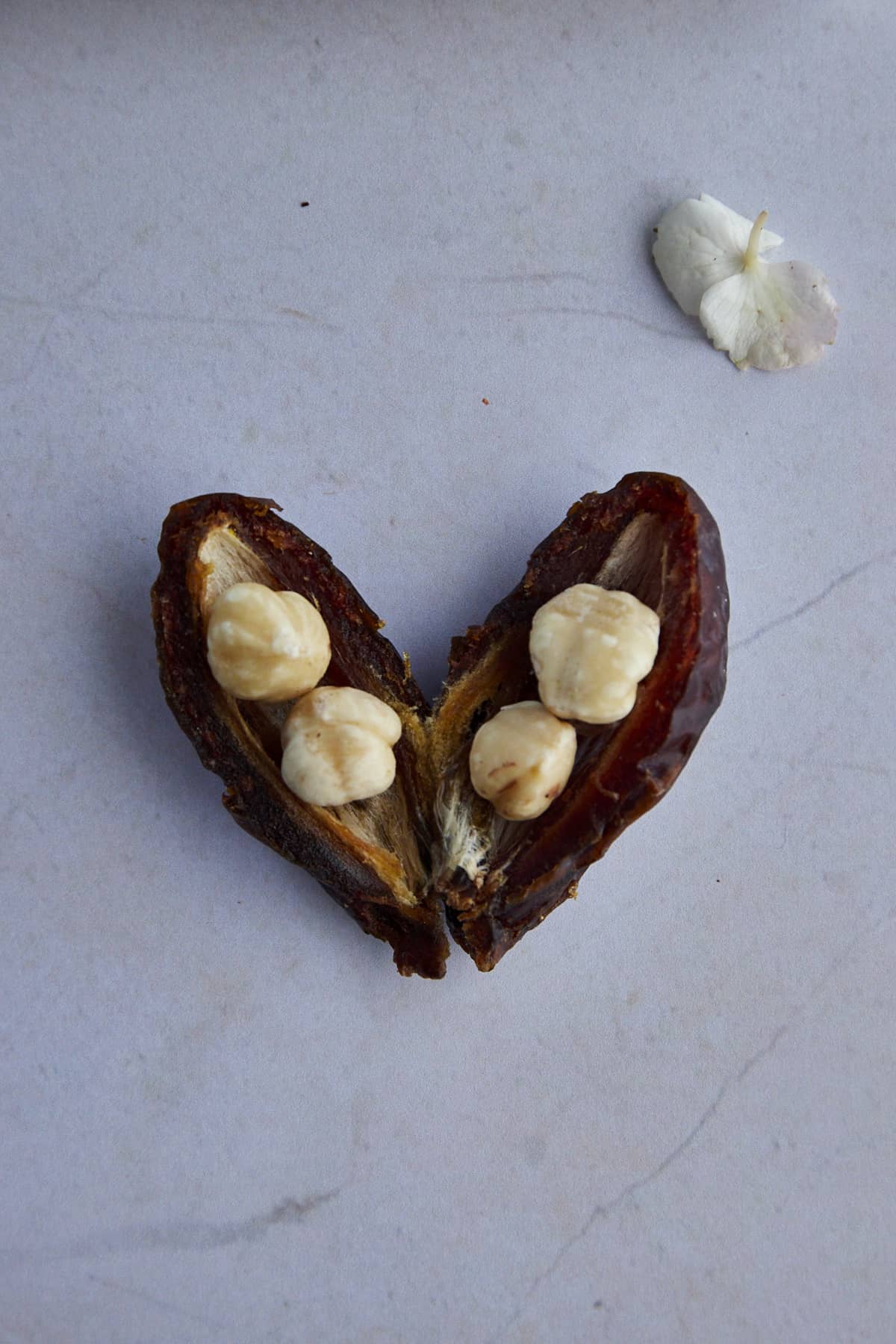 a pitted Medjool date stuffed with hazelnuts