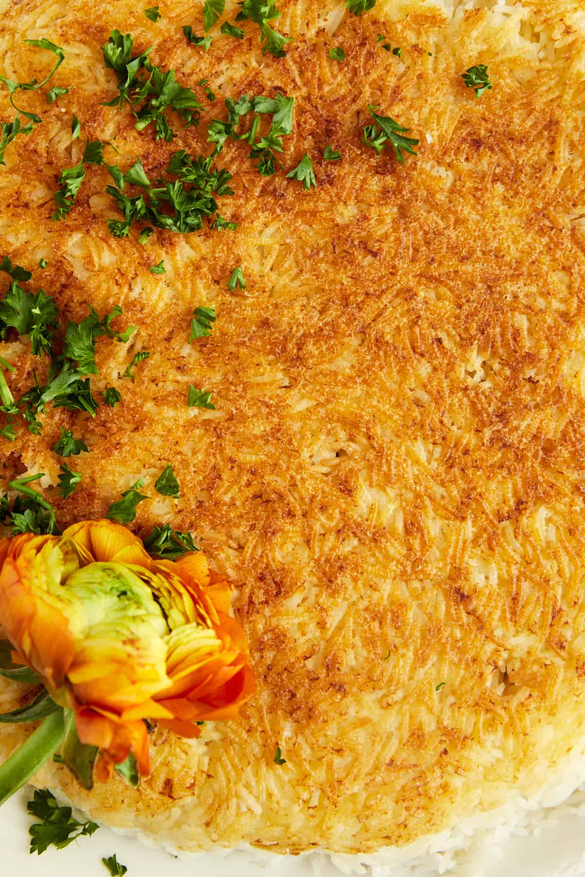 close up image of Persian rice