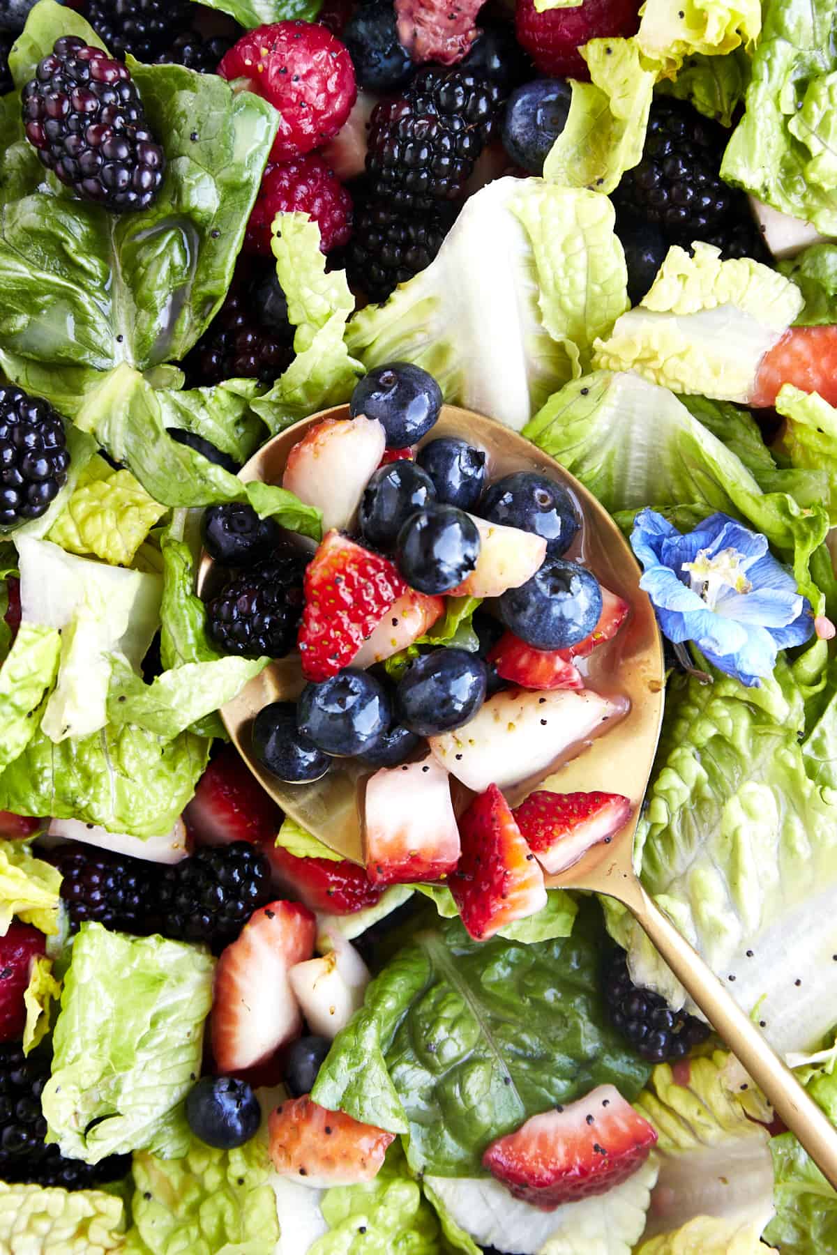 Close up image of a spoonful of berries on a summer berry salad. 