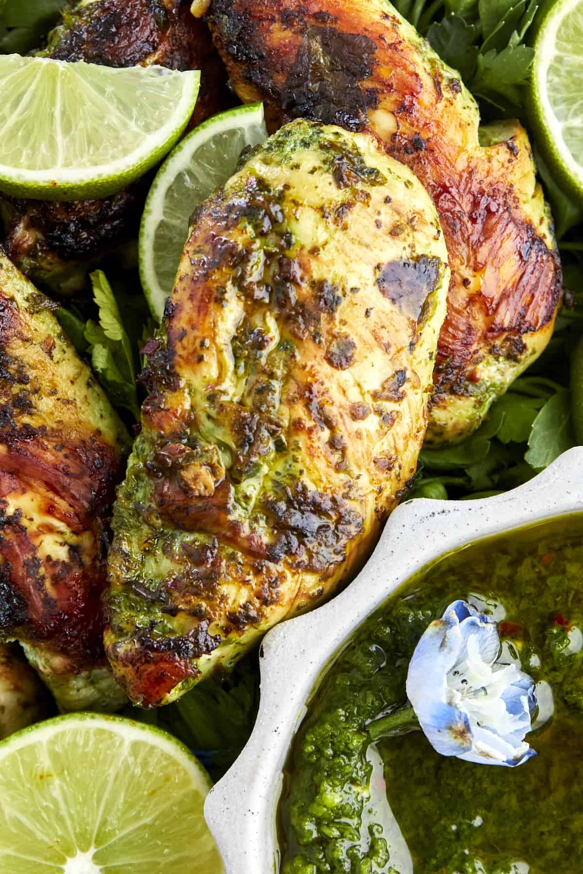 Close up image of spicy cilantro lime chicken tenders. 