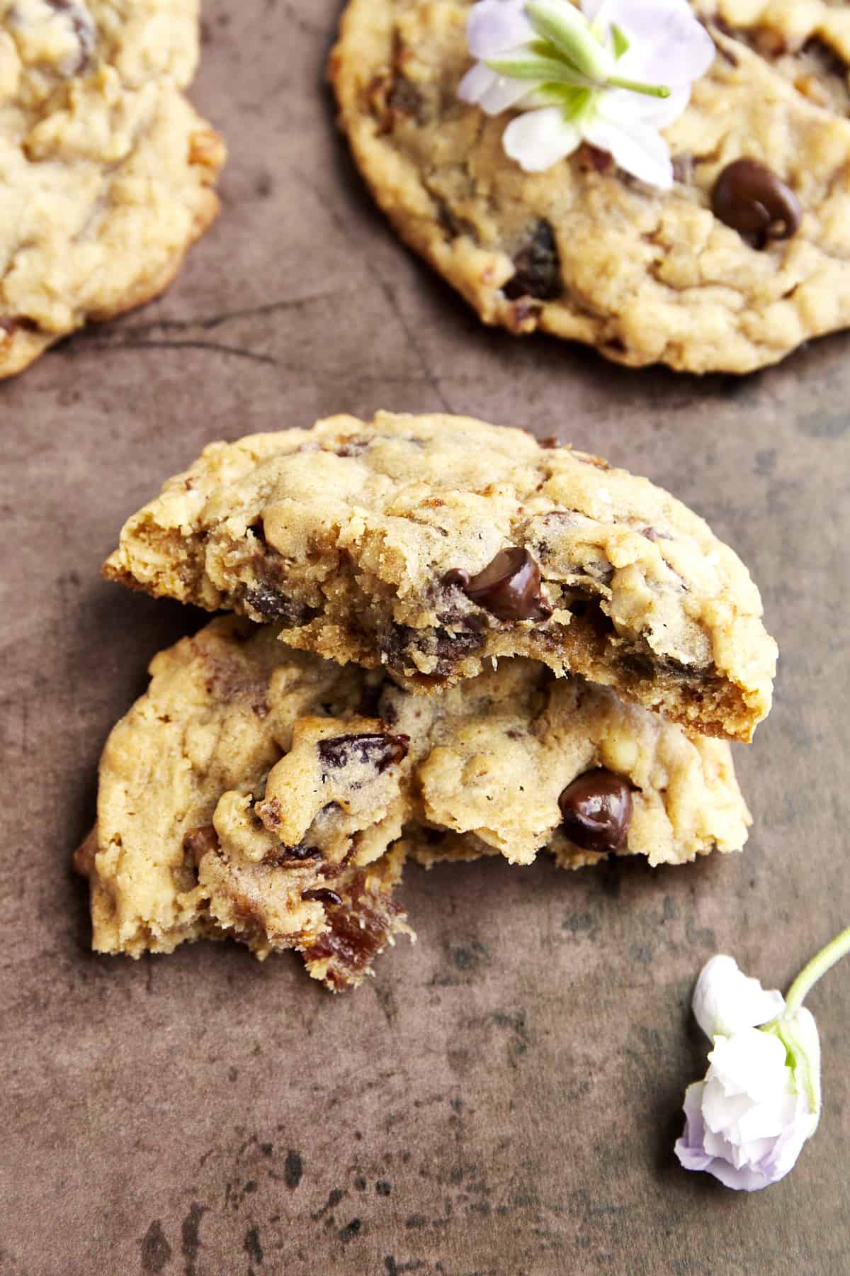 Close up image of a chewy date cookie with chocolate chips and walnuts split in half. 