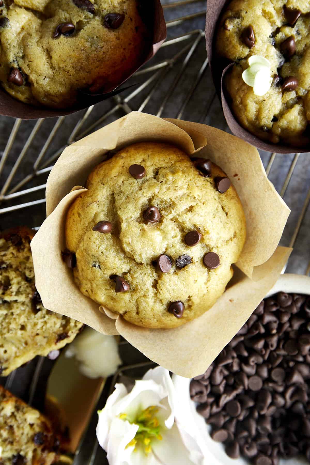 Overhead image of a chocolate chip banana bread muffin in a paper wrapper. 