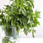 A jar of fresh parsley.