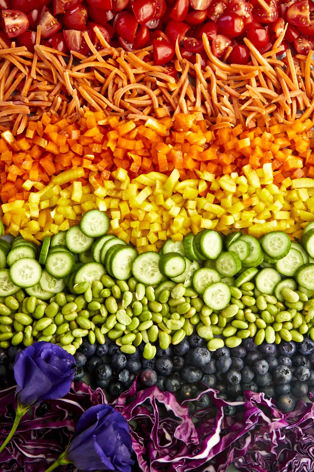 Tomatoes, shredded carrots, chopped orange and yellow peppers, cucumber slices, edamame, blueberries, and red cabbage spread out in layers. 