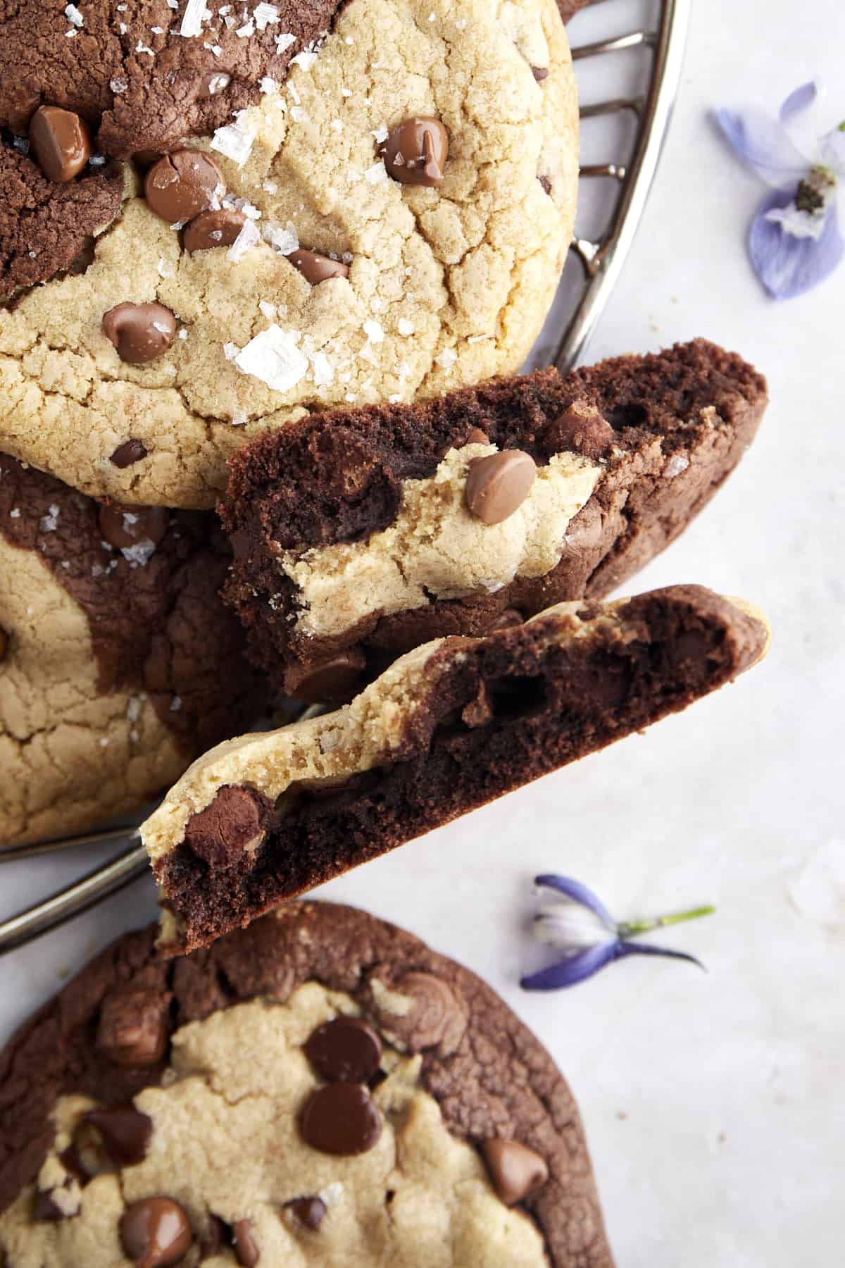 A brookies cookie split in half showing the fusion of chocolate chip and chocolate dough. 