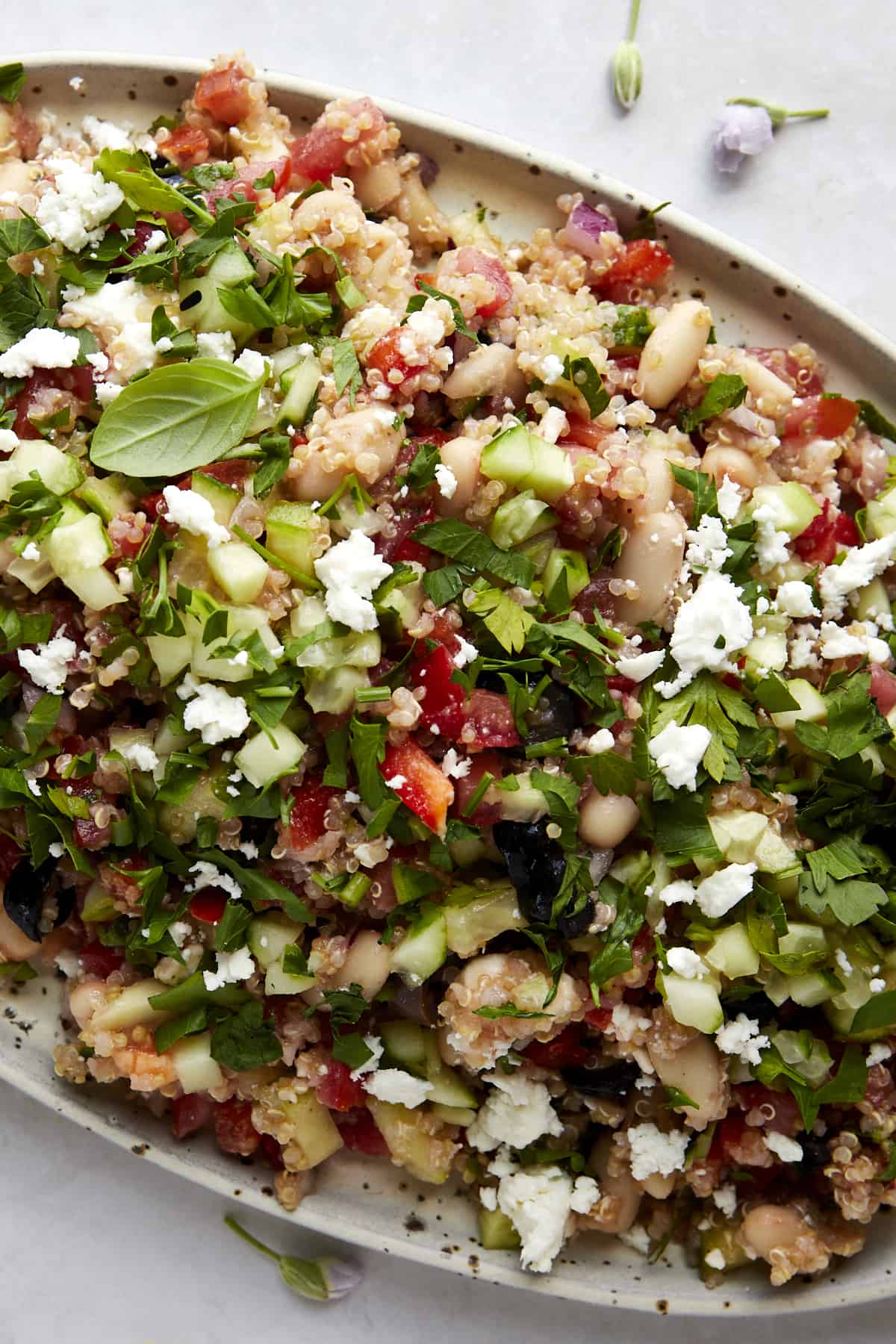 Overhead image of a platter of quinoa cannellini bean salad topped with fresh herbs. 