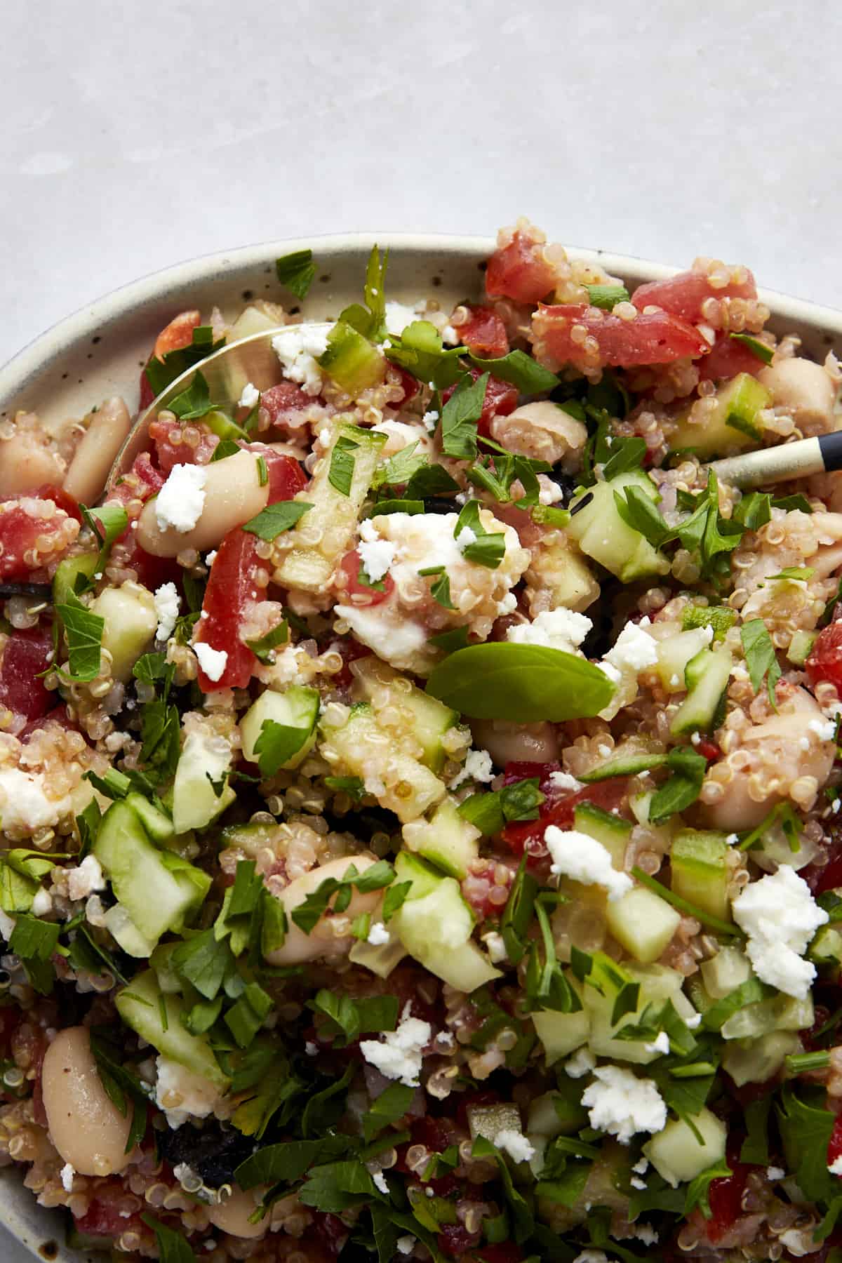 Close up image of quinoa cannellini bean salad. 