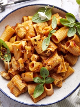 A plate of spicy chicken rigatoni.