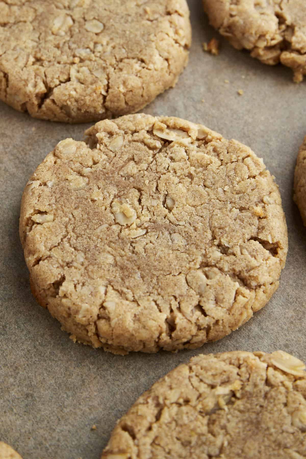 Close up image of an oatmeal peanut butter cookie. 
