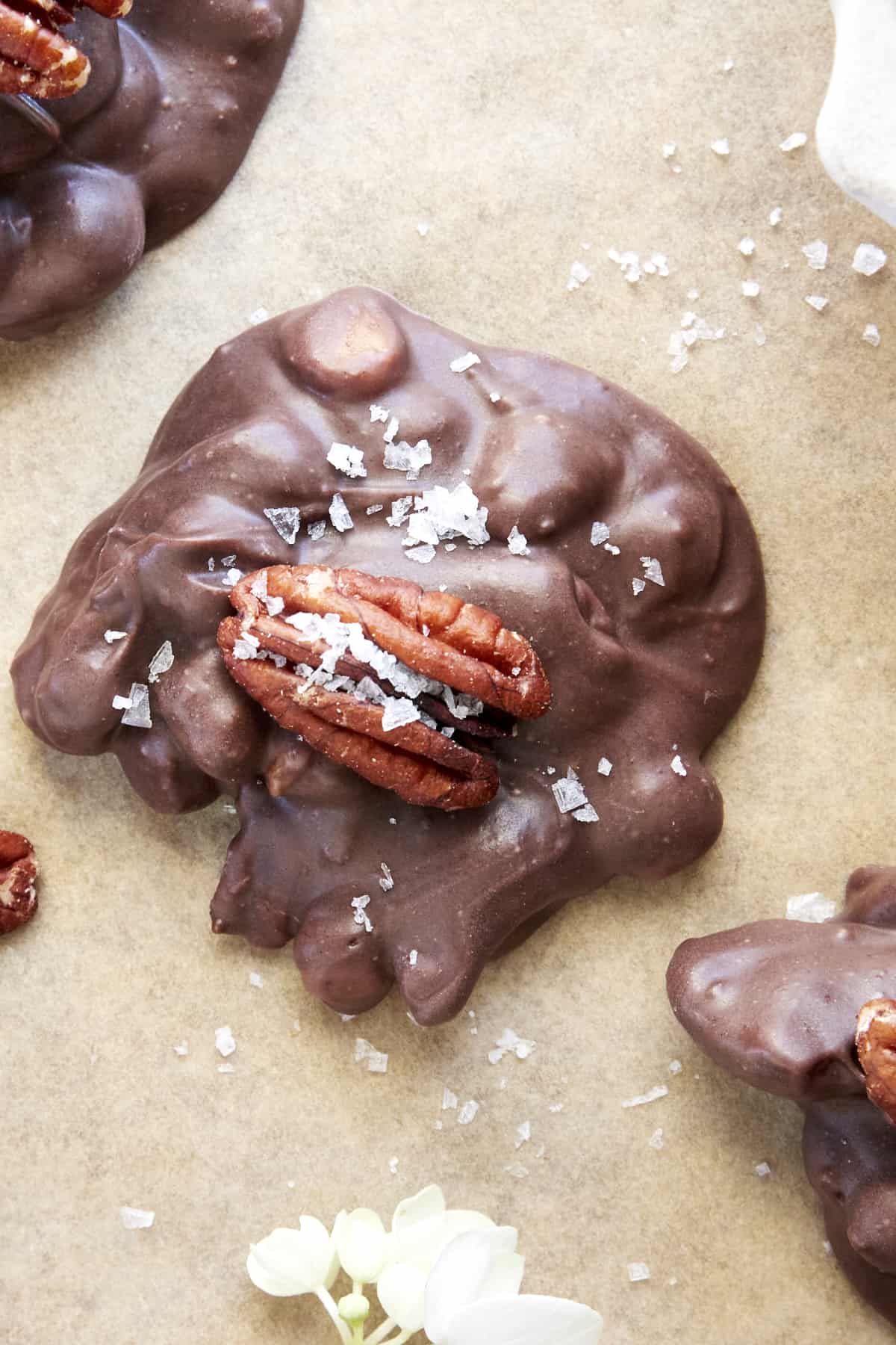 A chocolate caramel pecan cluster topped with a pecan and sea salt.