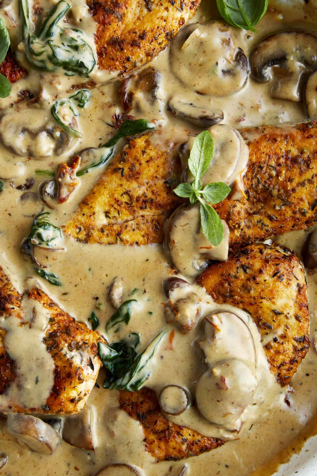 Creamy mushroom chicken in a skillet.