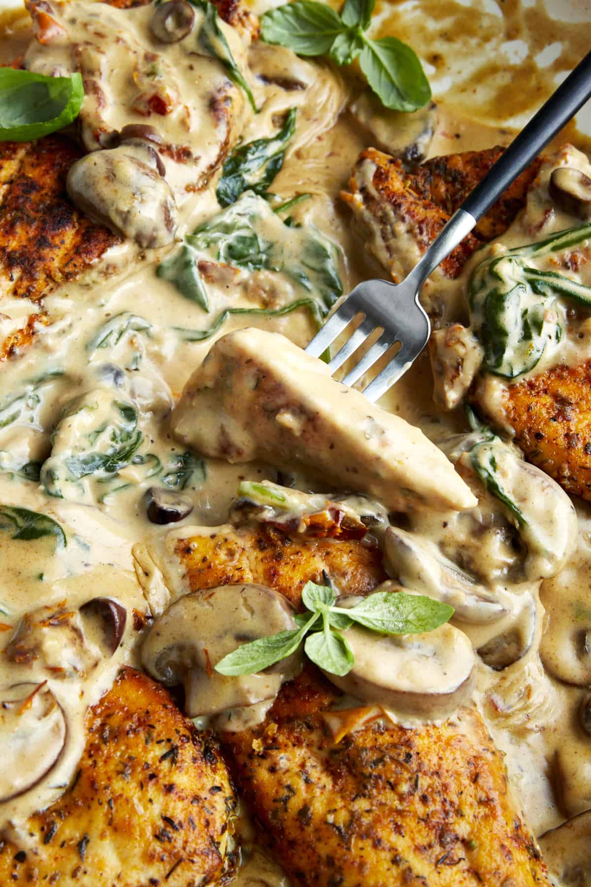 A fork stabbing a piece of creamy mushroom chicken in a skillet.