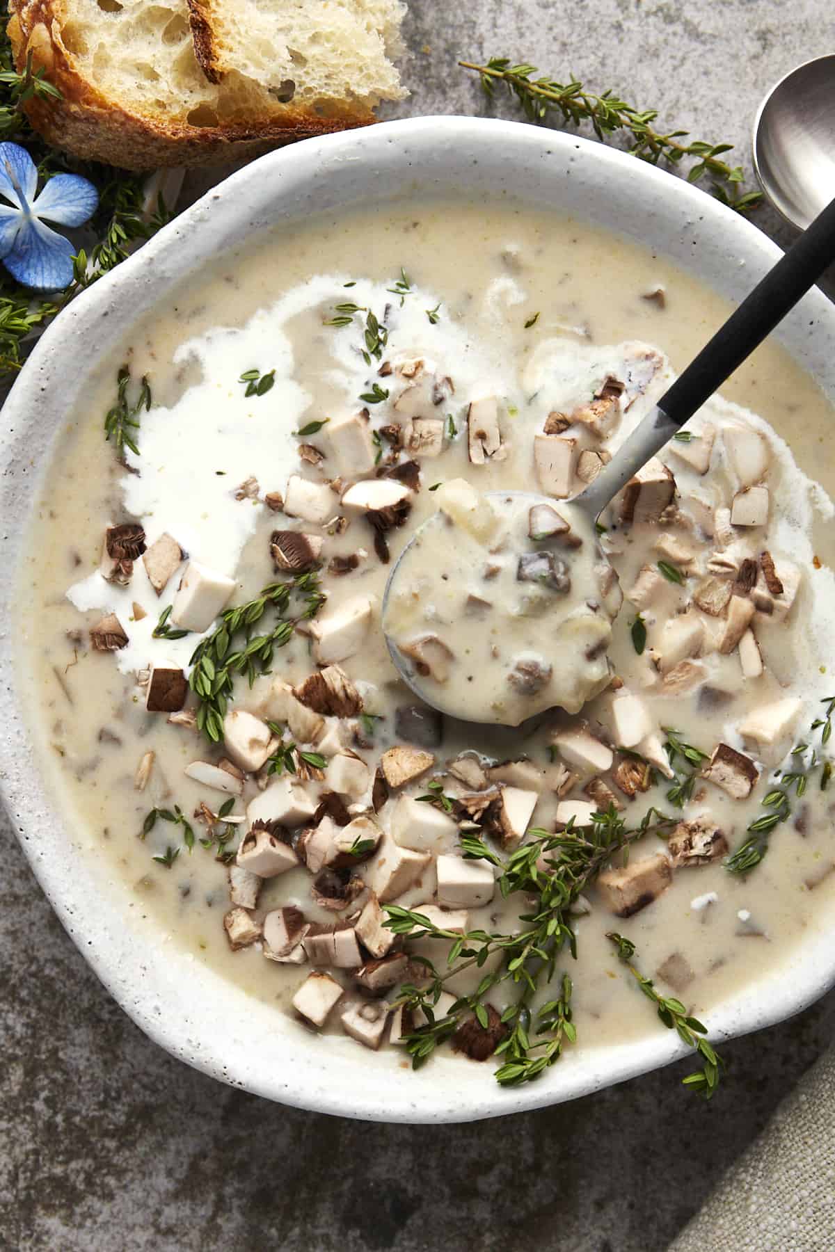 A spoon lifting a bite of creamy mushroom soup from a bowl. 