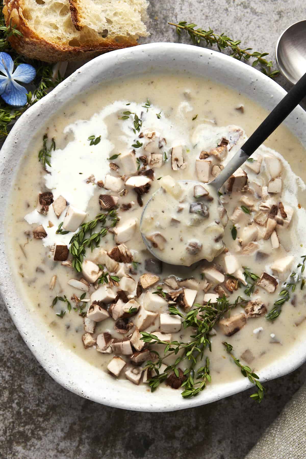 A spoon lifting a bite of creamy mushroom soup from a bowl.