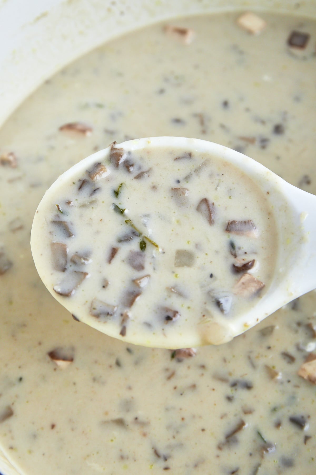 A spoon lifting a scoop of creamy mushroom soup from a pot. 