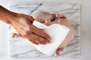 A raw turkey being pat dry with clean paper towels.