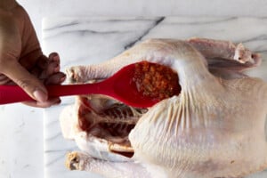 Turkey brine being spread under the skin of a raw turkey.