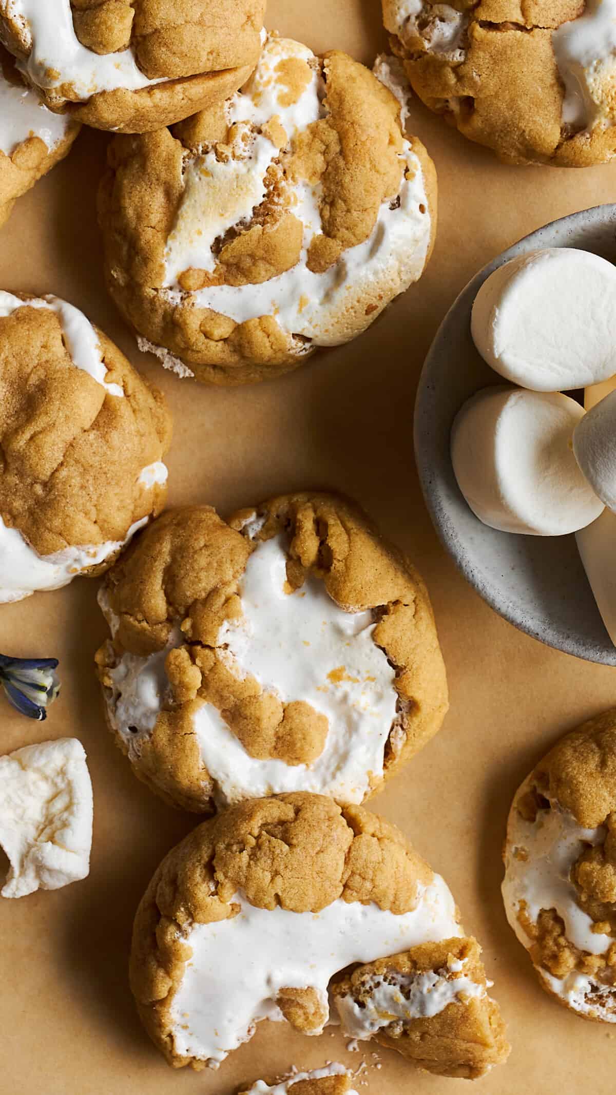 Baked fluffernutter cookies next to a bowl of marshmallows. 