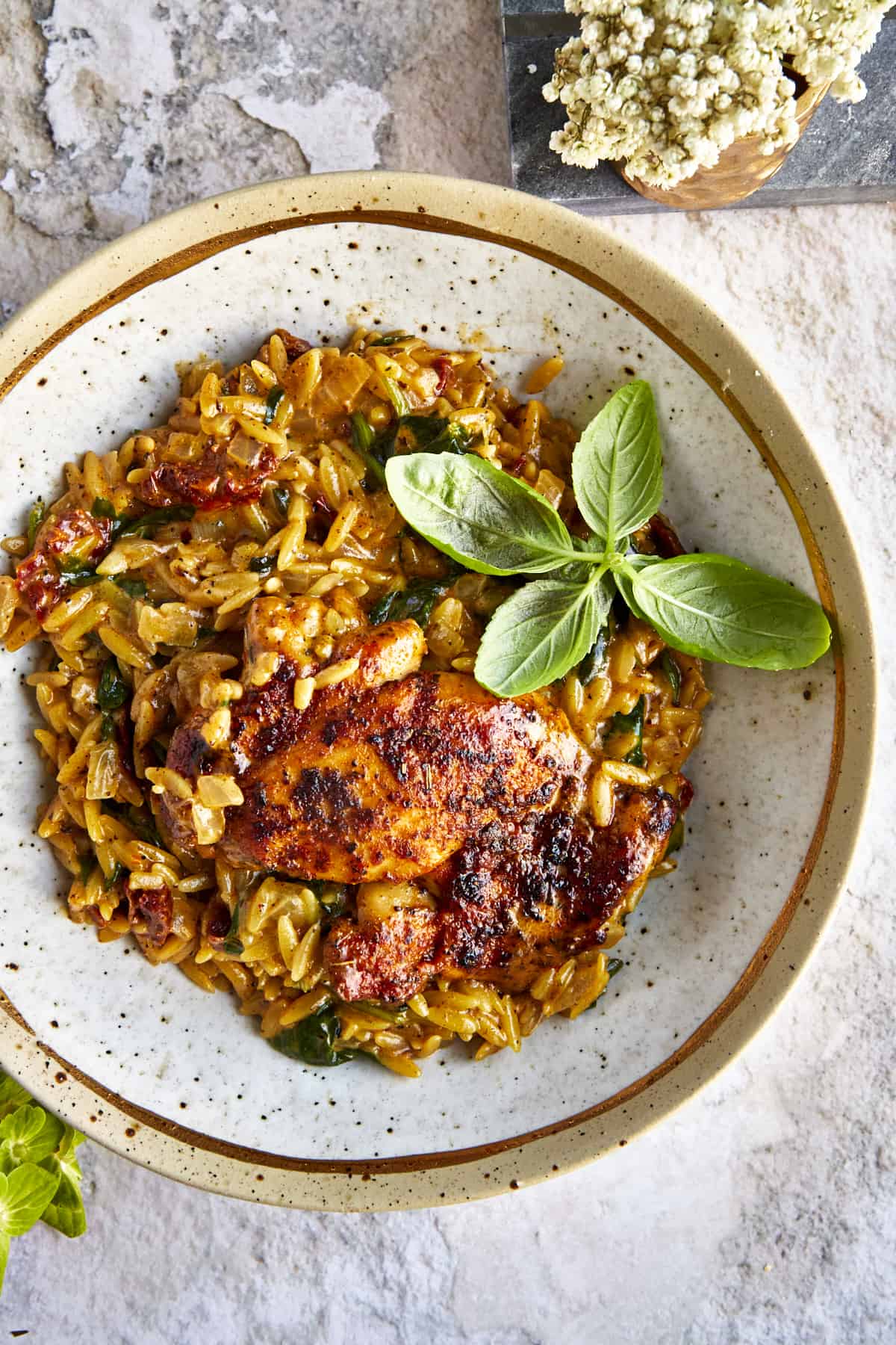 A bowl of chicken and orzo topped with parsley. 