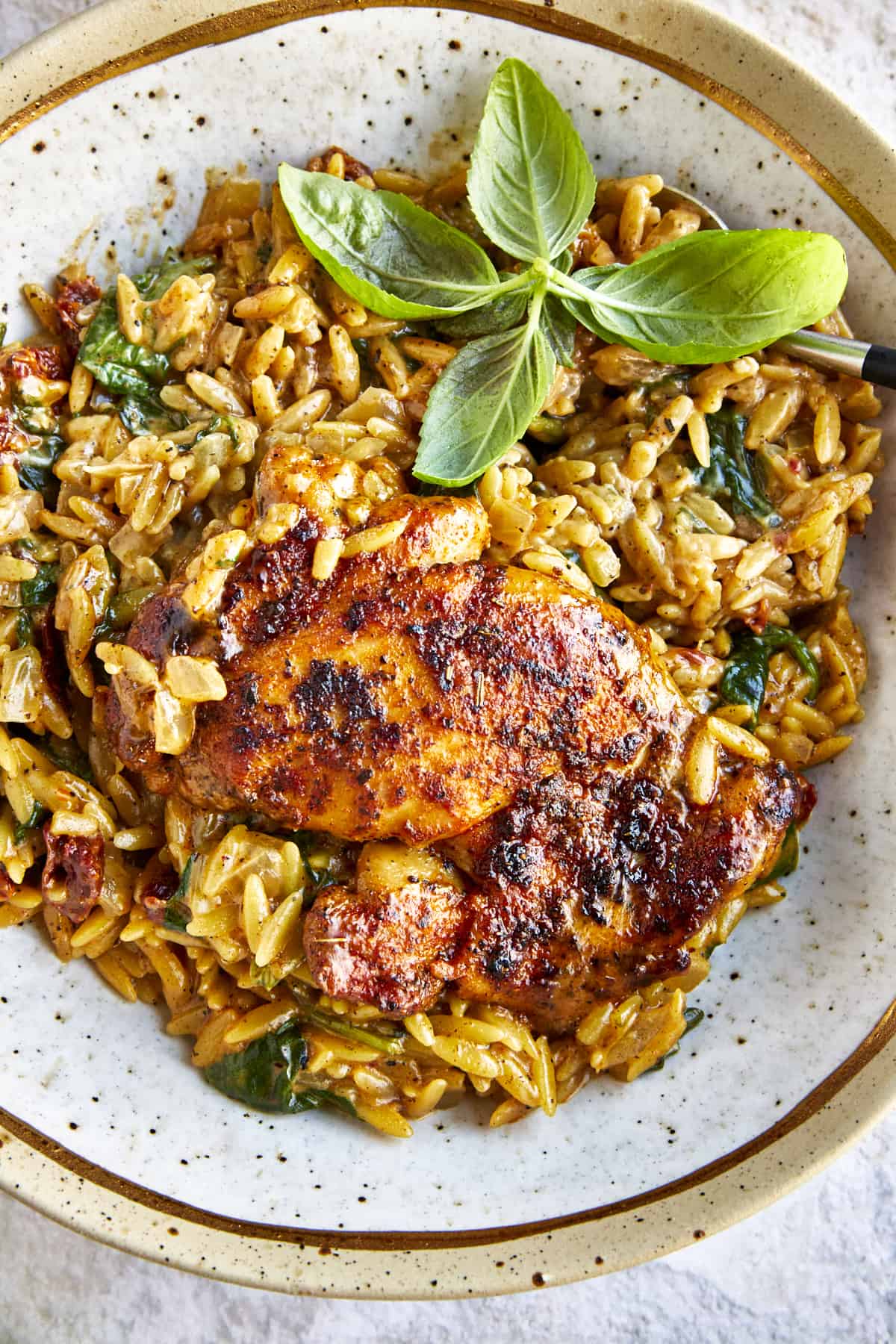 A bowl of chicken and orzo pasta with sun-dried tomatoes and spinach. 