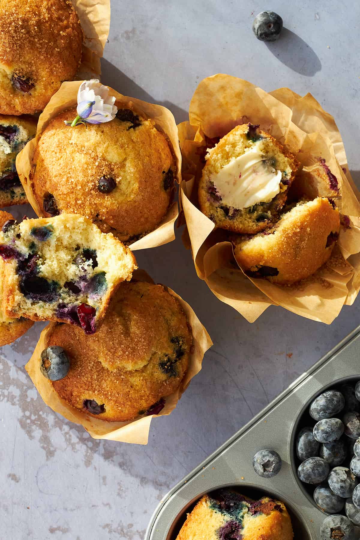 Blueberry muffins in paper liners, with some split in half. 