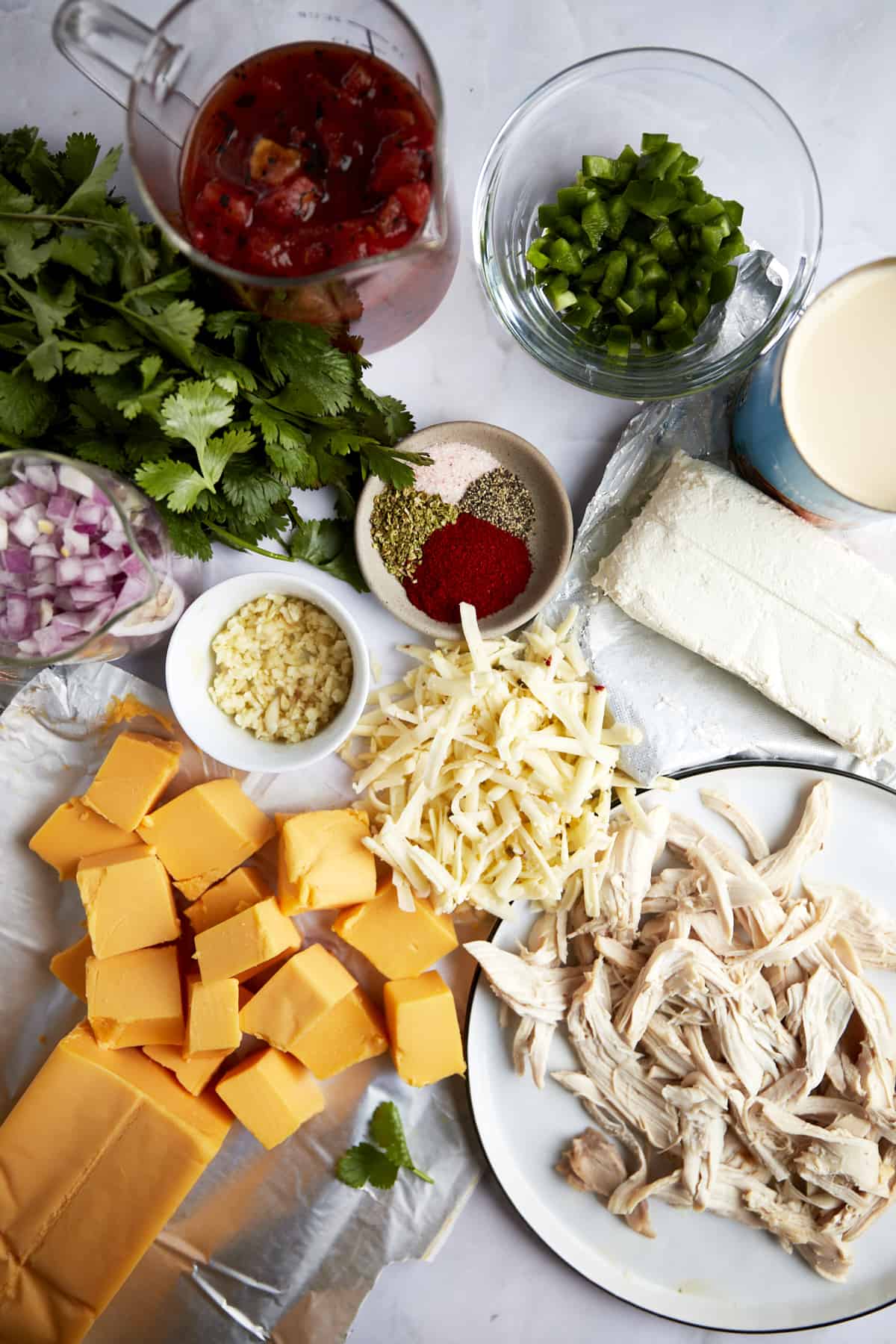 Ingredients to make baked chicken queso dip. 