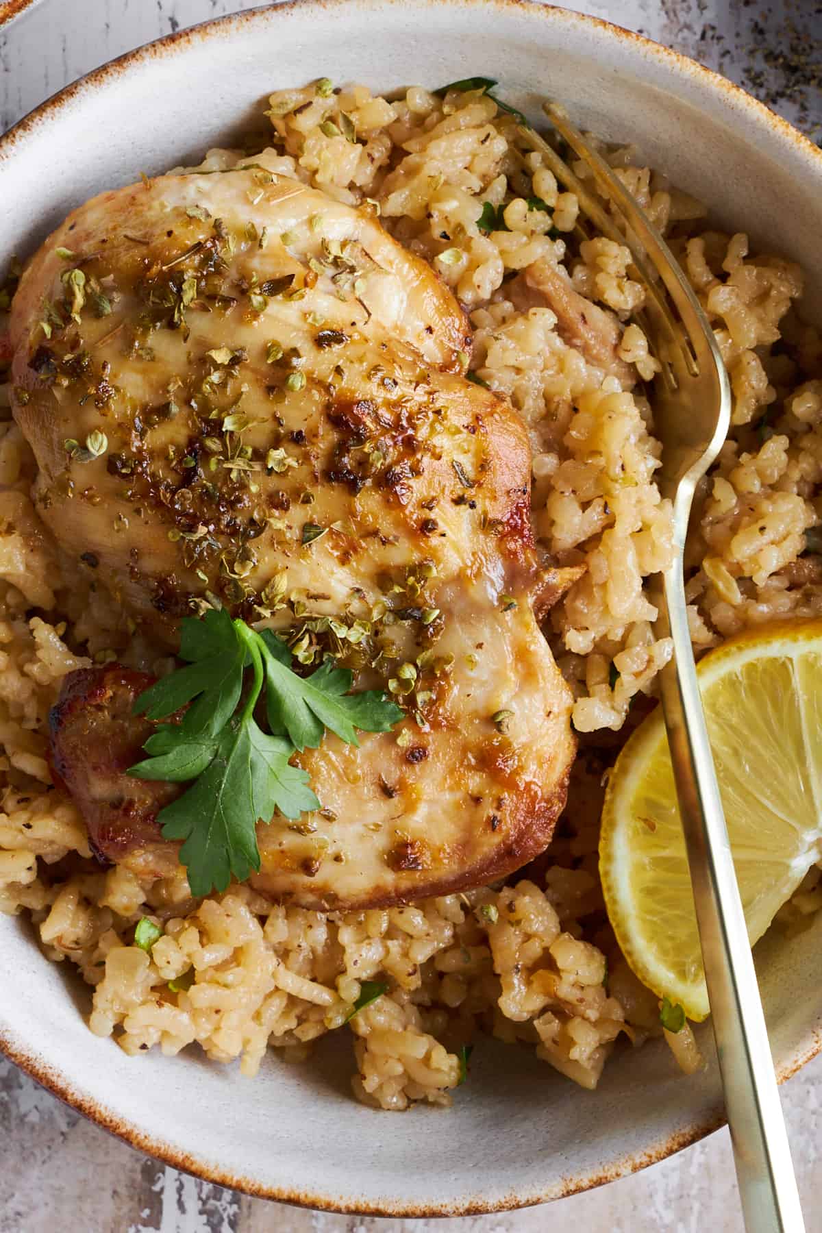 Close up image of a bowl of Greek chicken and rice. 