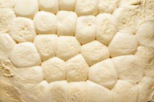 Dinner rolls rising.