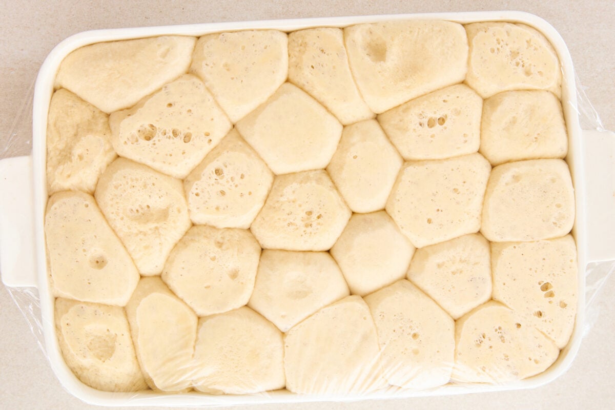 Raw dinner rolls in a baking dish.